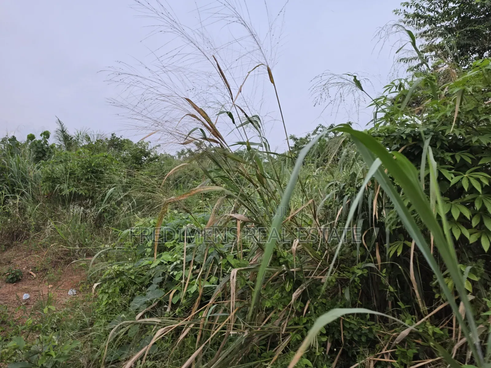 Land at Aboabugya for Sale
