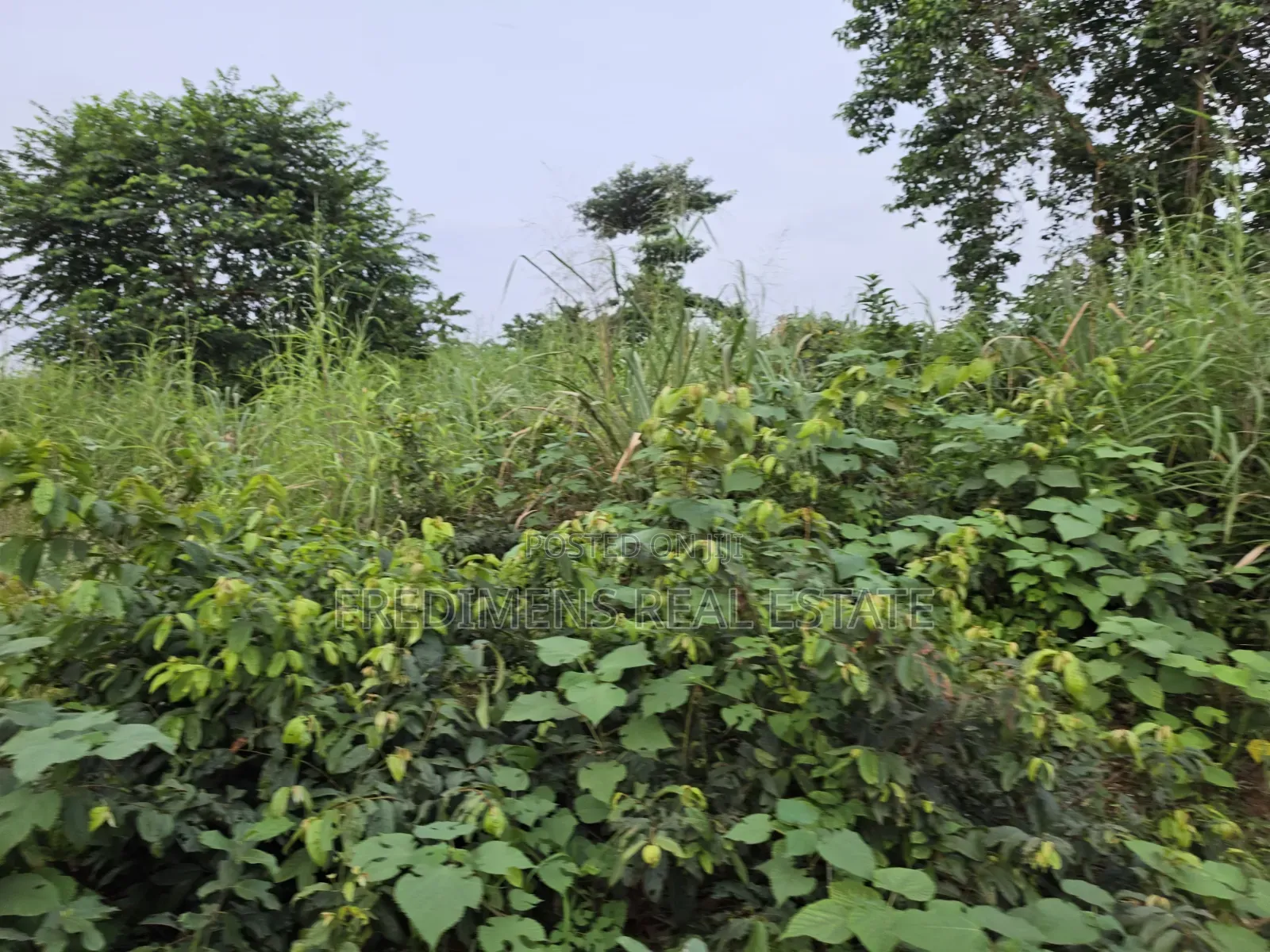Land at Aboabugya for Sale