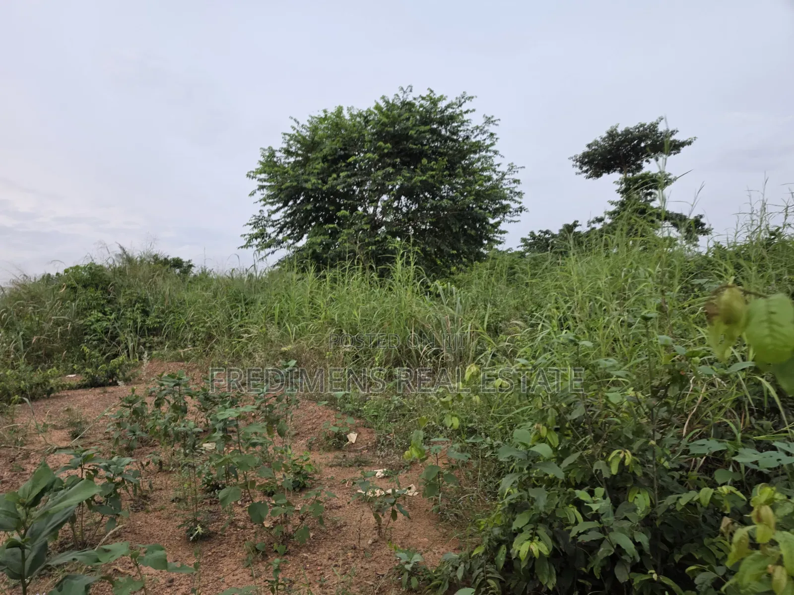 Land at Aboabugya for Sale
