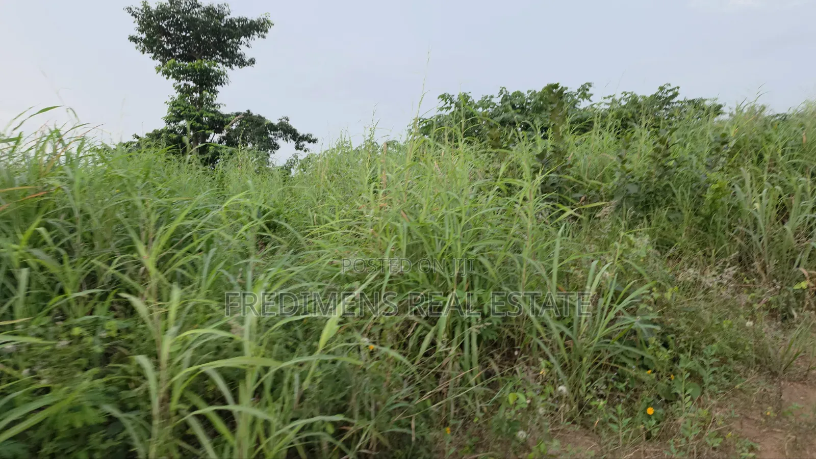 Land at Aboabugya for Sale