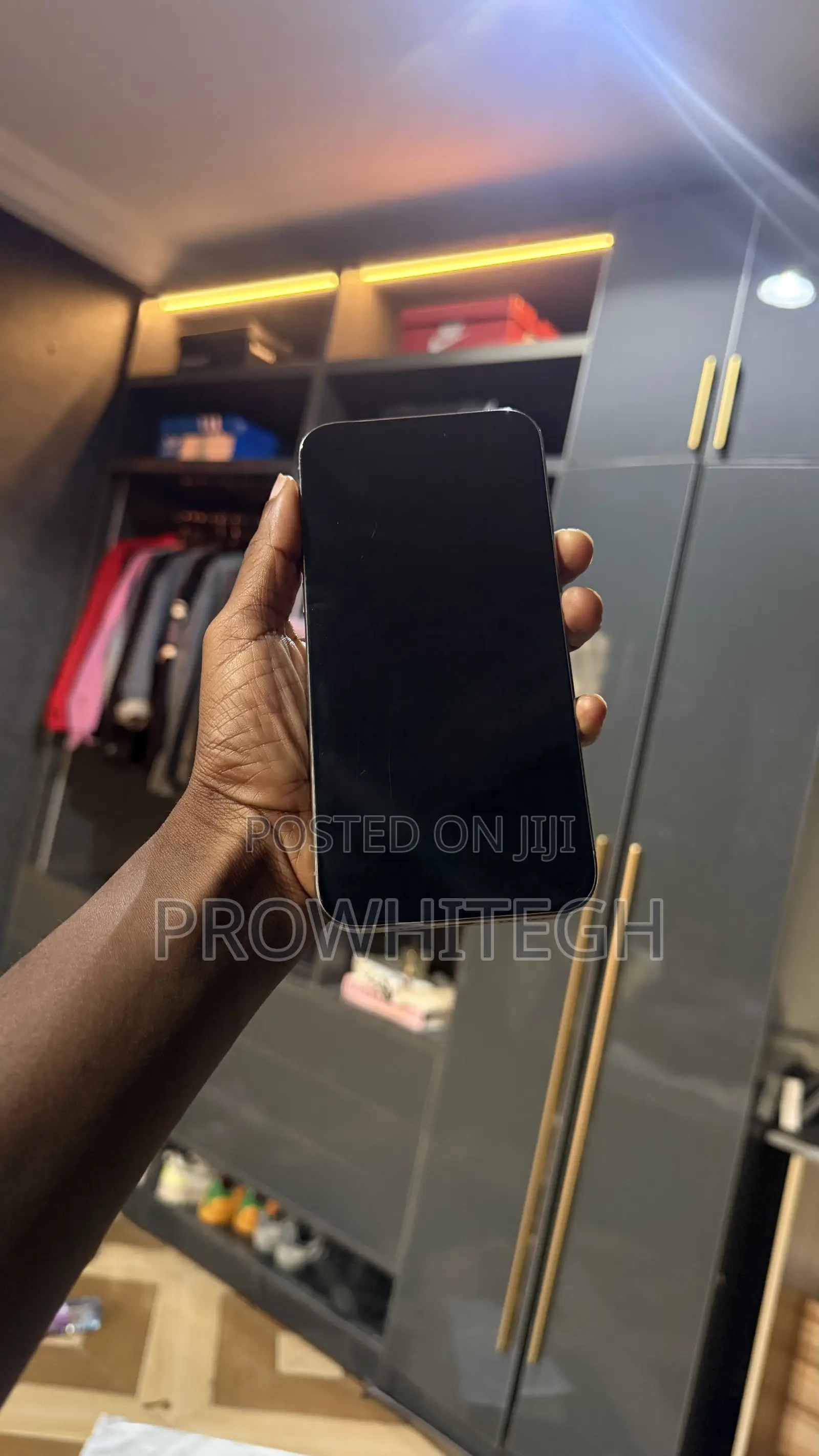 Apple iPhone 15 Pro Max 256 GB Silver
