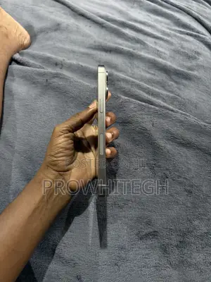 Apple iPhone 15 Pro Max 256 GB Silver
