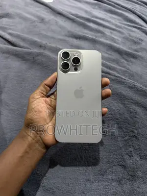 Apple iPhone 15 Pro Max 256 GB Silver