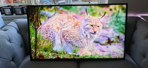 LG 50inches Smart TV