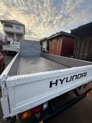 Hyundai Mighty