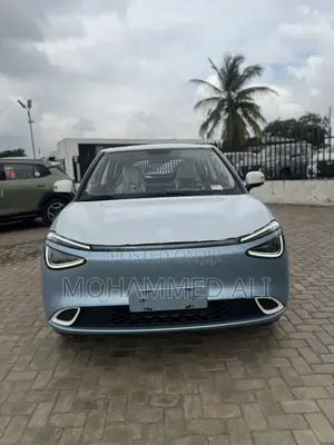 New Dongfeng Nammi Box 2025 Blue
