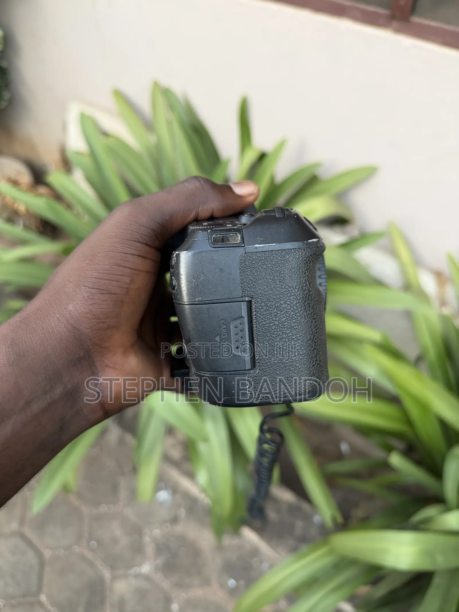Canon R6 Mark II