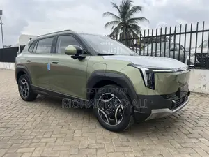 New Dongfeng EV EX1 2025 Green