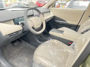 New Dongfeng EV EX1 2025 Green
