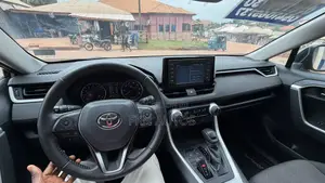 Toyota RAV4 XLE AWD 2019 Green