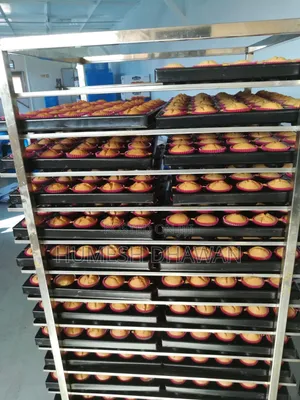 An Industrial Baker, Pillow Packing Machine, Operator.