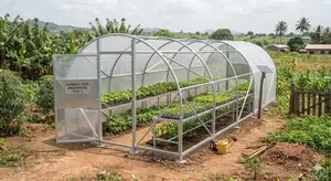 Greenhouse