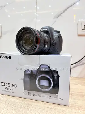 Canon Eos 6D Mark II Digital Camera With 24-105mm USM Lens