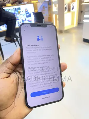 Apple iPhone 12 Pro Max 256 GB Blue