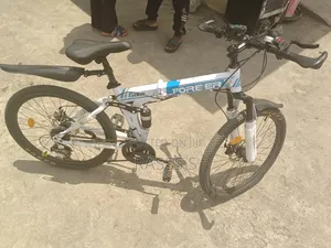 Forever G009 Bicycle