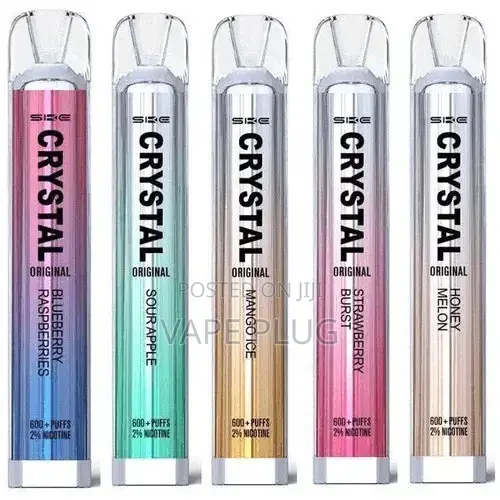 vapeGo 600 Puffs
