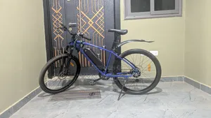 Estate MTB Ebike