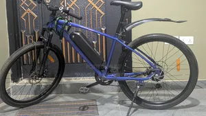 Estate MTB Ebike