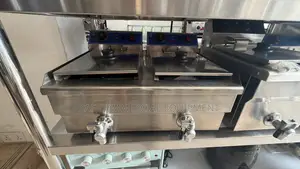 Commercial Stainless Steel Double Electric Fryer 24L