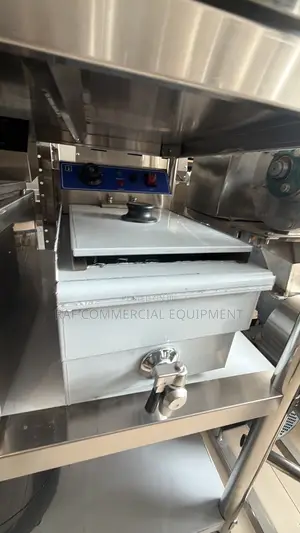 Commerical Electric Single Fryer 12L