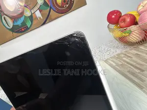 Apple iPad Pro 512 GB Gray