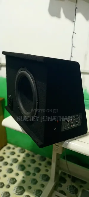 Rechargeable 12 Inches Subwoofer Speaker Box
