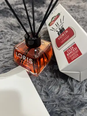 Loris Air Diffuser