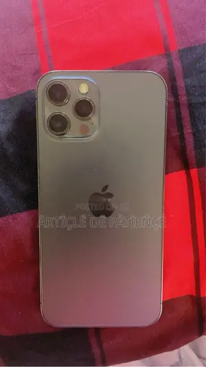 Apple iPhone 12 Pro Max 256 GB Gray