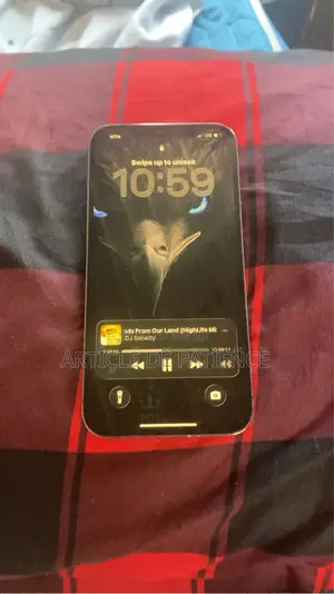 Apple iPhone 12 Pro Max 256 GB Gray