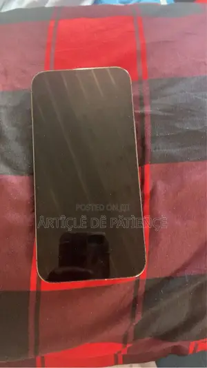 Apple iPhone 12 Pro Max 256 GB Gray