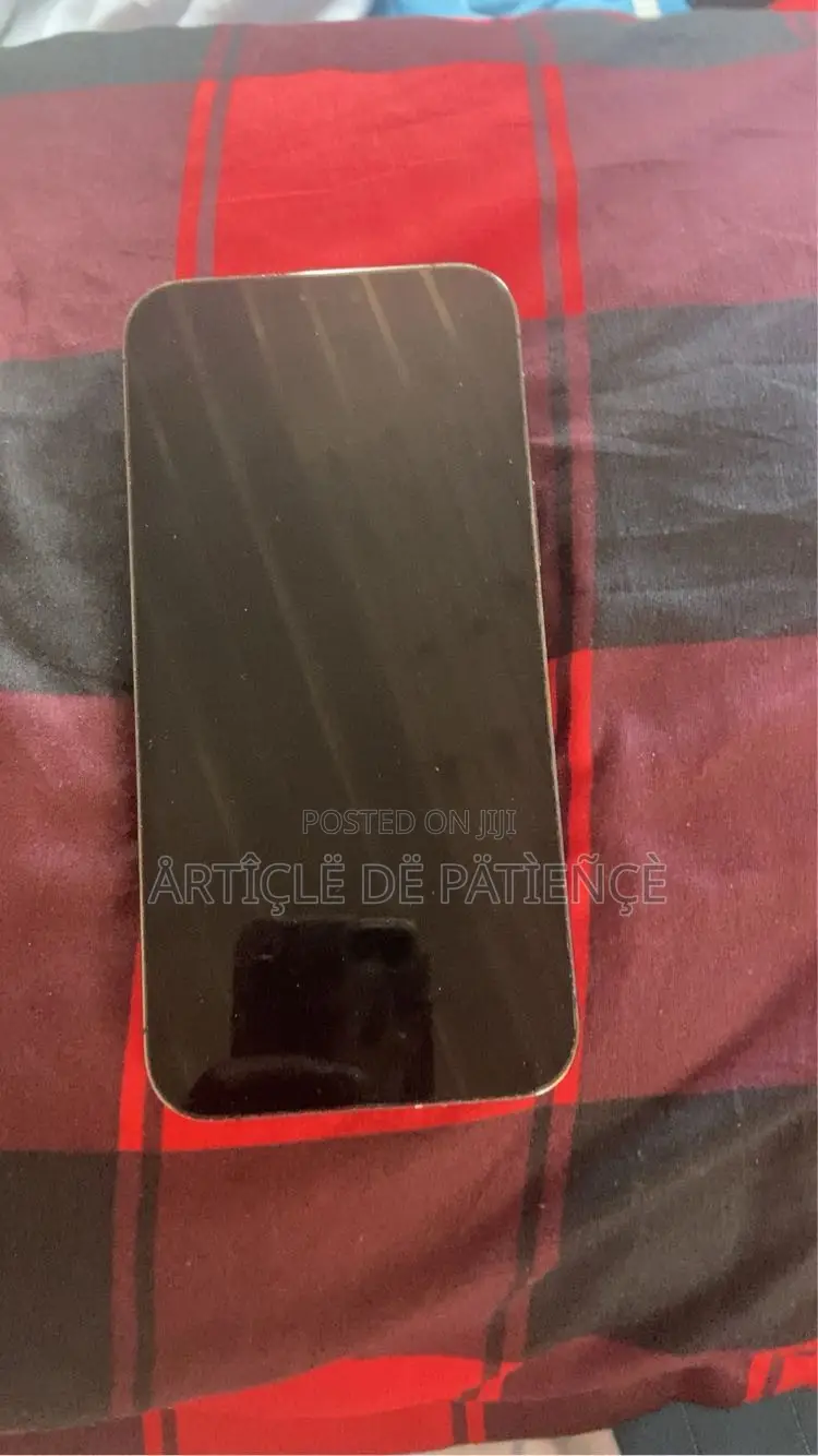 Apple iPhone 12 Pro Max 256 GB Gray