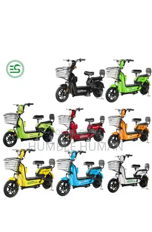 Electric Bikes