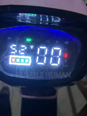 Electric Bikes
