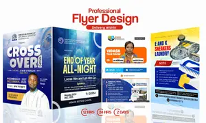 Professional Graphics Designer