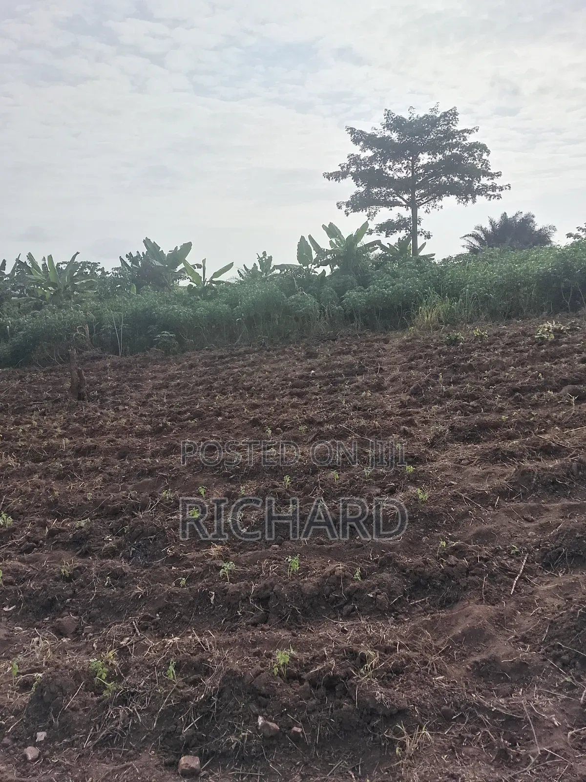 Land at Pokuase
