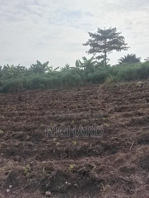 Land at Pokuase