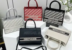 Dior Ladies Bag