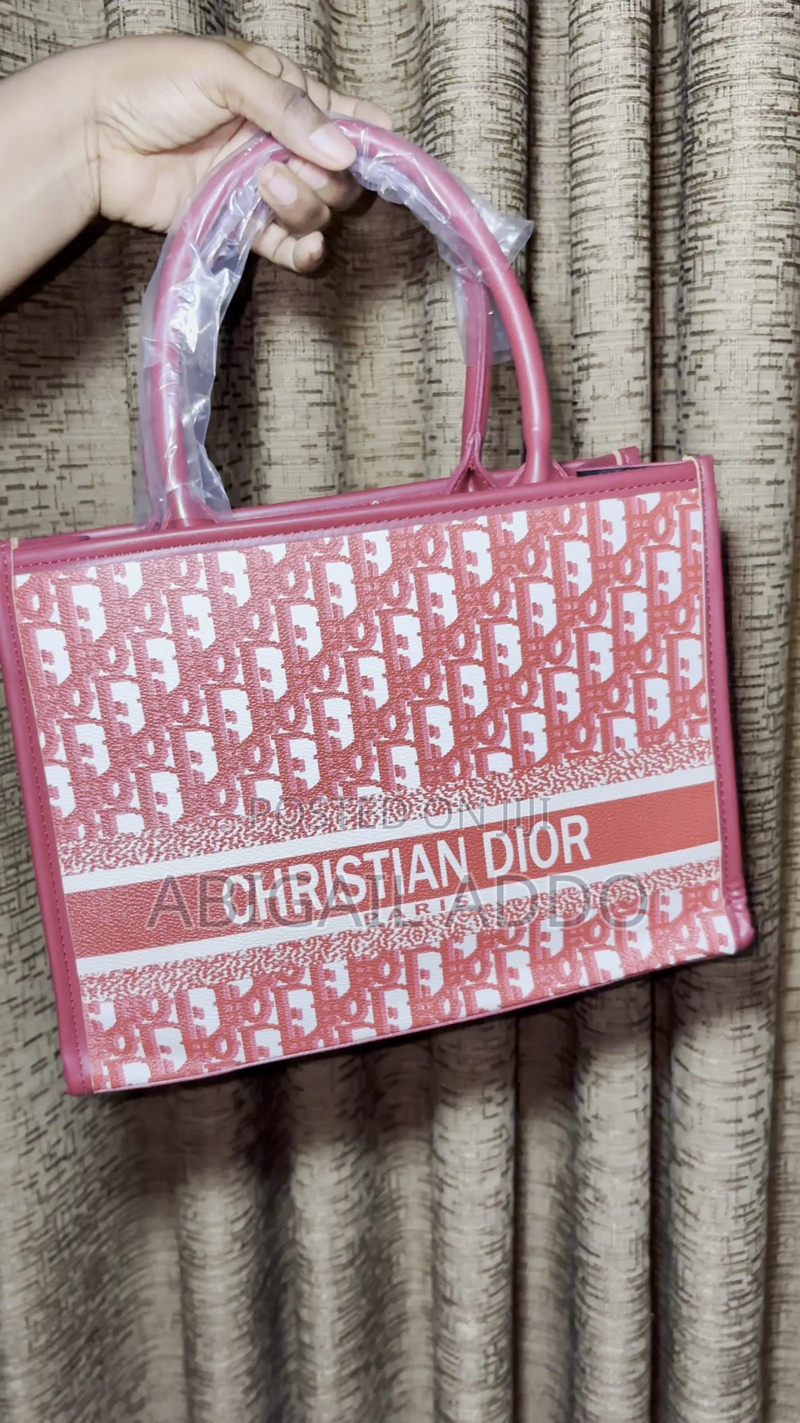 Dior Ladies Bag