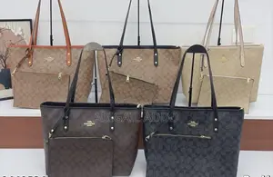 Coach Ladies Bag