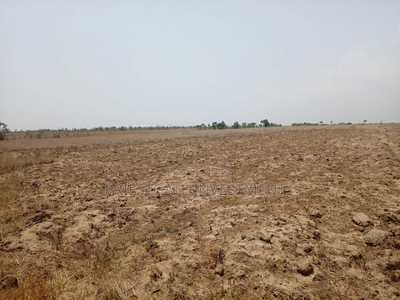 Invest in Your Future – Prime Land at Tsopoli