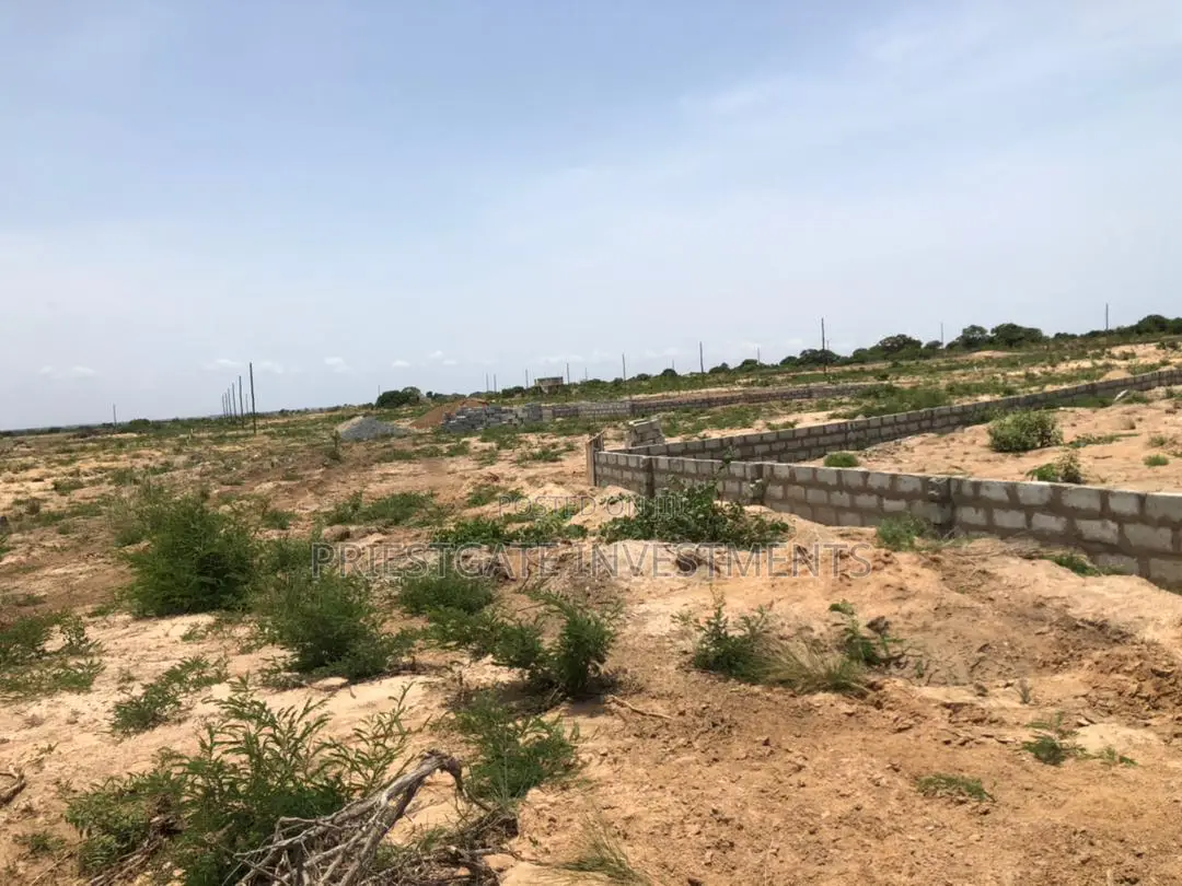 Own a Piece of Tsopoli – Land Available for Sale