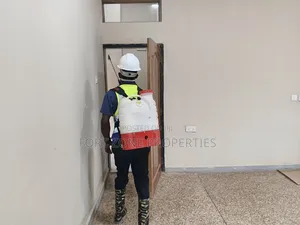 Mainstream Fumigation With Cleantex