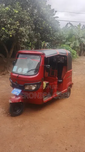 Tricycle 2022 Red