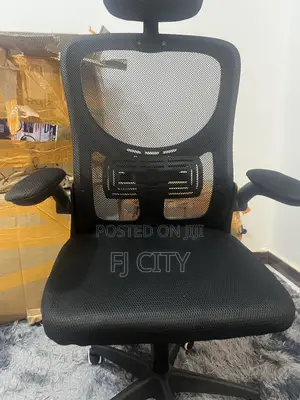 Ergonomic Chair