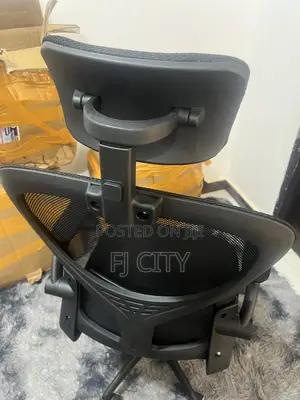 Ergonomic Chair
