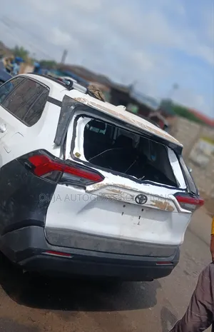 2019 to 2024 Toyota Rav4 Heated Tailgate Window Back Glass Available