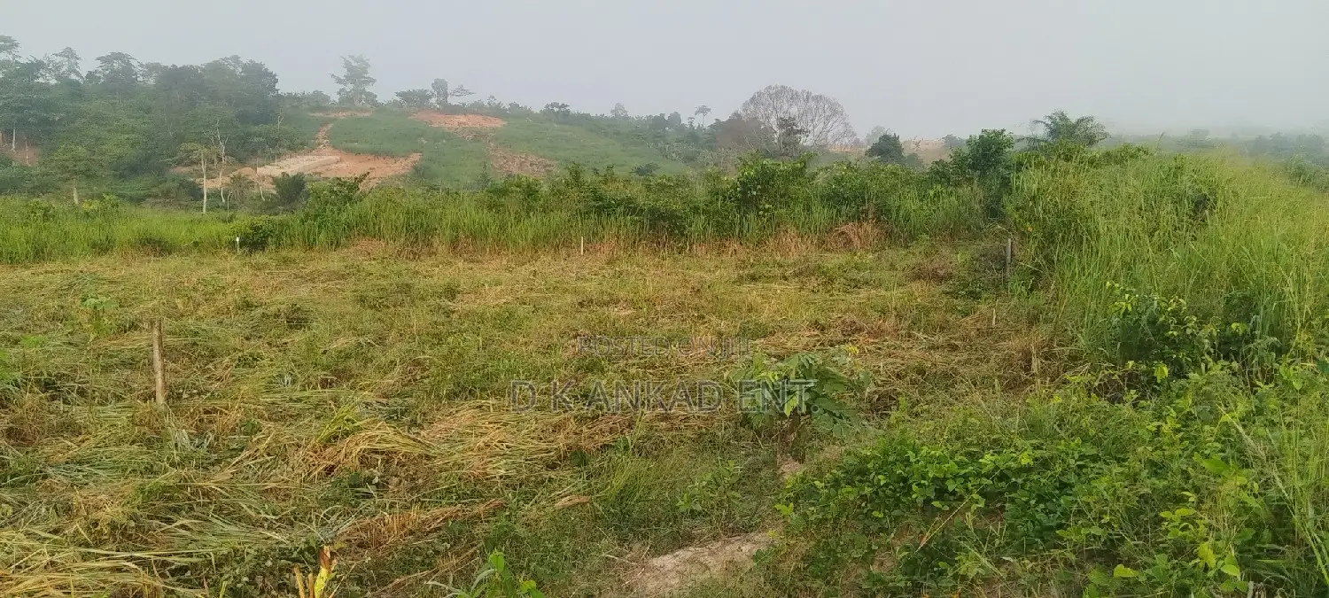 Cheap Plot of Land Forsale at Apemanim Kokobeng