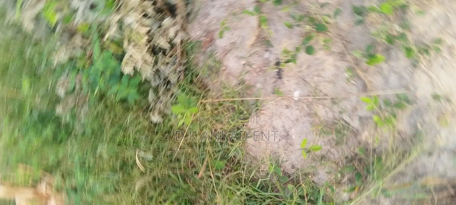 Cheap Plot of Land Forsale at Apemanim Kokobeng