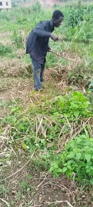 Cheap Plot of Land Forsale at Apemanim Kokobeng