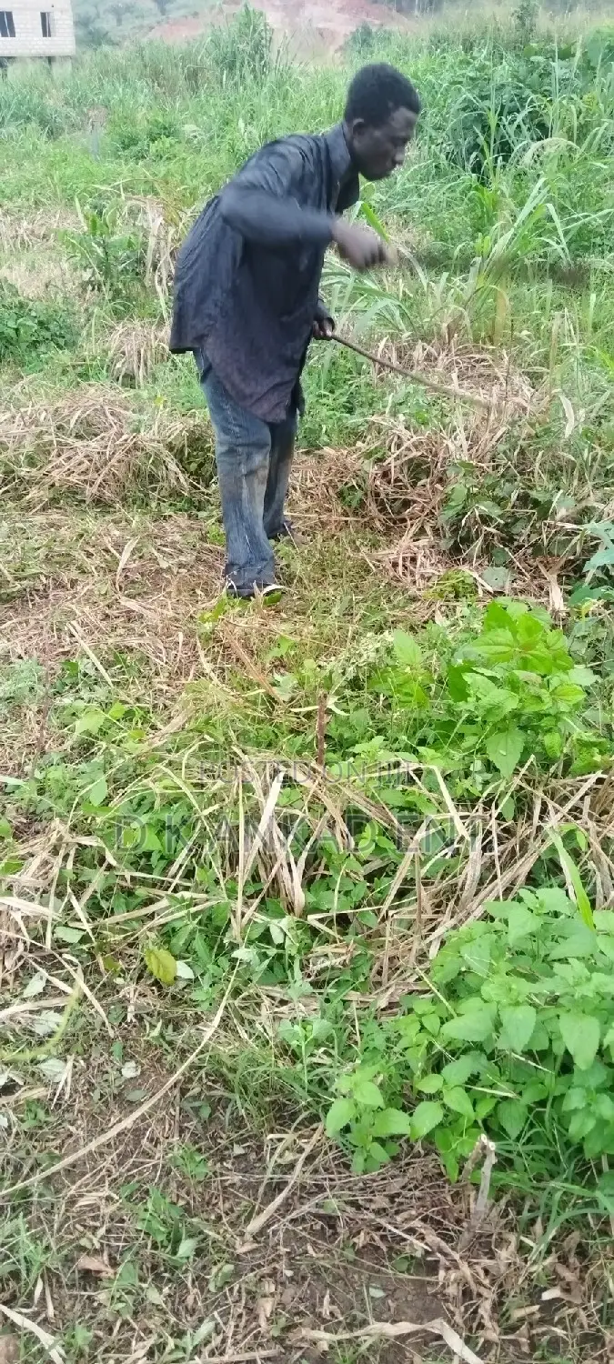 Cheap Plot of Land Forsale at Apemanim Kokobeng